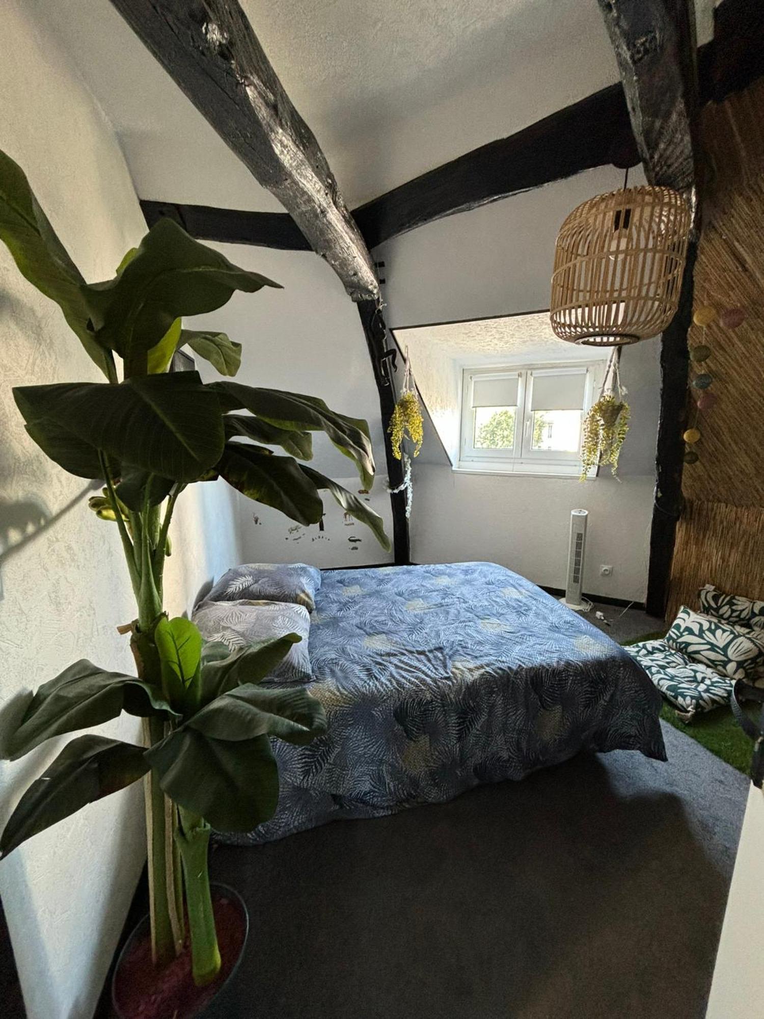 Jungle Cosy Louviers Exterior foto