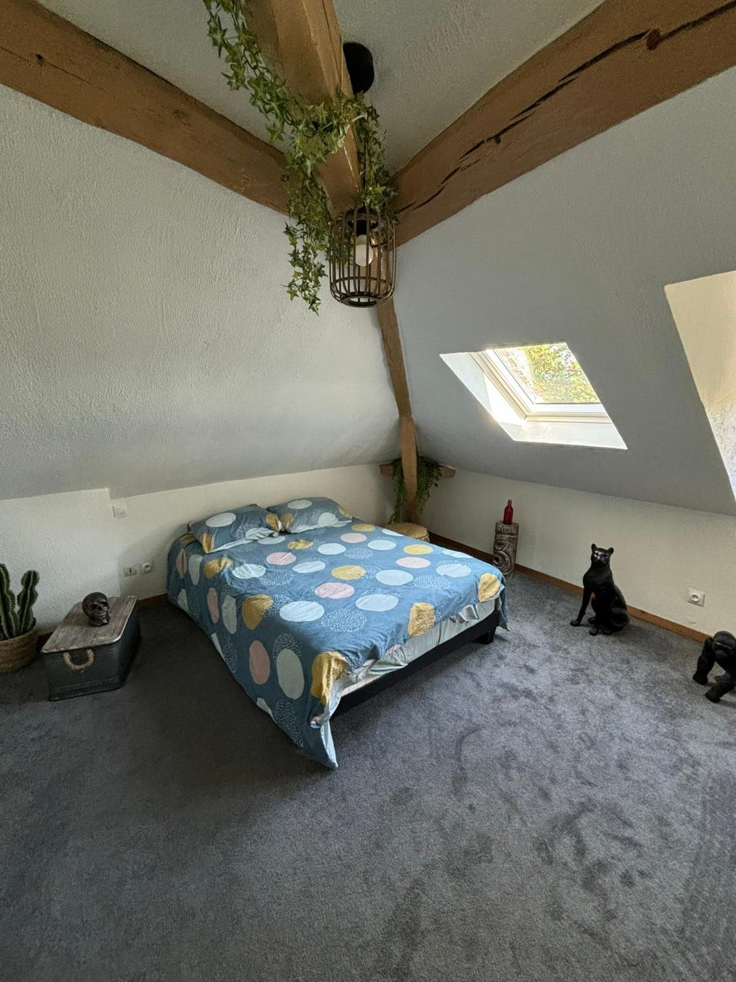 Jungle Cosy Louviers Exterior foto