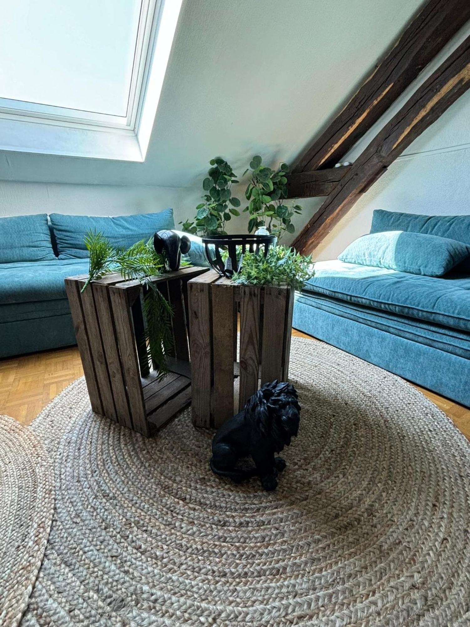 Jungle Cosy Louviers Exterior foto